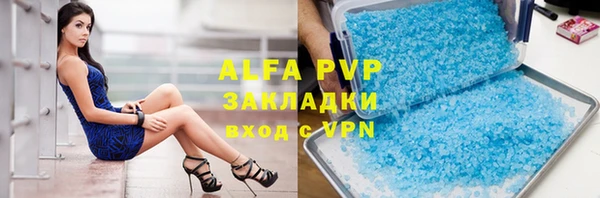 индика Богородицк