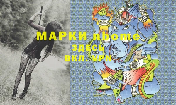 индика Богородицк