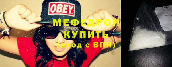 индика Богородицк