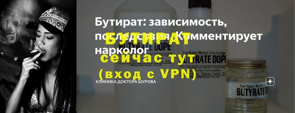 индика Богородицк