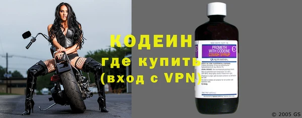 индика Богородицк