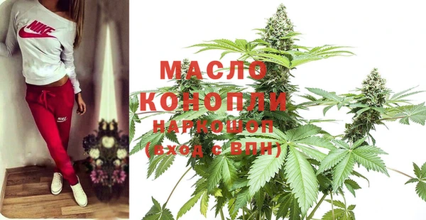 индика Богородицк