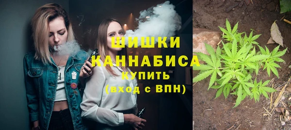 индика Богородицк