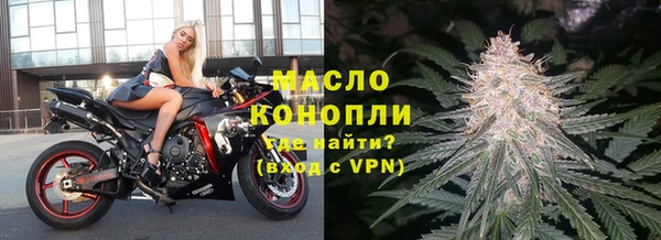 индика Богородицк