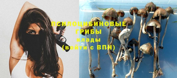мескалин Богородск