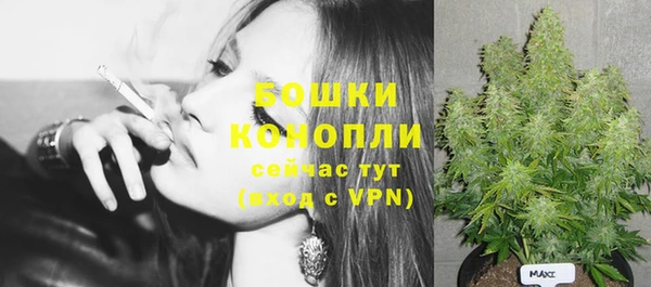индика Богородицк