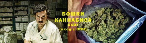 индика Богородицк