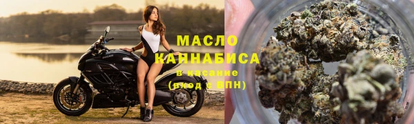 индика Богородицк