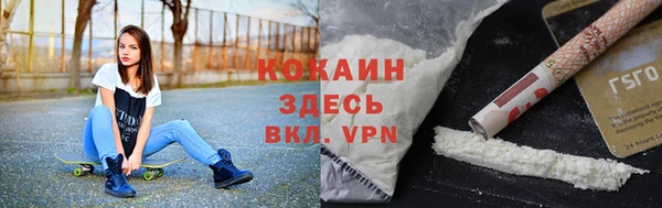 индика Богородицк